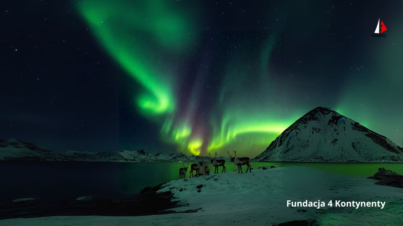 Polowanie na Zorzeę Polarną w Tromso Fundacja 4 Kontynenty